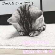 ヒメ日記 2025/03/14 11:00 投稿 すず モアグループ小山人妻花壇