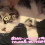 ヒメ日記 2025/06/05 10:00 投稿 すず モアグループ小山人妻花壇