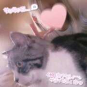 ヒメ日記 2025/06/12 17:00 投稿 すず モアグループ小山人妻花壇