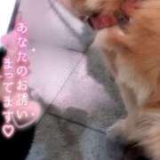 ヒメ日記 2025/06/18 15:00 投稿 すず モアグループ小山人妻花壇