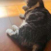 ヒメ日記 2025/07/05 15:30 投稿 すず モアグループ小山人妻花壇