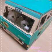 ヒメ日記 2025/07/21 12:30 投稿 すず モアグループ小山人妻花壇