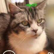 ヒメ日記 2025/07/22 15:00 投稿 すず モアグループ小山人妻花壇