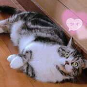 ヒメ日記 2025/08/02 15:00 投稿 すず モアグループ小山人妻花壇