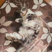 ヒメ日記 2025/09/18 15:00 投稿 すず モアグループ小山人妻花壇