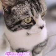 ヒメ日記 2025/10/24 11:00 投稿 すず モアグループ小山人妻花壇