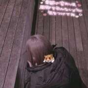 ヒメ日記 2025/10/25 19:00 投稿 すず モアグループ小山人妻花壇