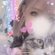 ヒメ日記 2025/11/01 19:30 投稿 すず モアグループ小山人妻花壇