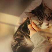 ヒメ日記 2025/11/05 12:10 投稿 すず モアグループ小山人妻花壇