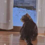 ヒメ日記 2026/01/04 22:00 投稿 すず モアグループ小山人妻花壇