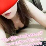 ヒメ日記 2024/12/30 01:12 投稿 朝倉リョウ フォーナイン熊本