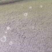 ヒメ日記 2025/10/24 20:19 投稿 朝倉リョウ フォーナイン熊本