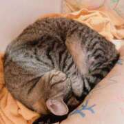 ヒメ日記 2025/01/10 19:22 投稿 足立凛 フォーナイン熊本