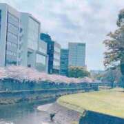 ヒメ日記 2025/04/11 17:03 投稿 足立凛 フォーナイン熊本