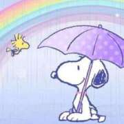 ヒメ日記 2025/05/06 14:02 投稿 足立凛 フォーナイン熊本