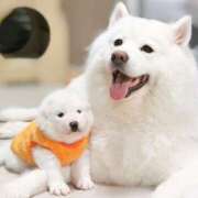 ヒメ日記 2025/05/18 14:02 投稿 足立凛 フォーナイン熊本