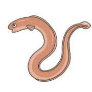 ヒメ日記 2025/06/03 14:02 投稿 足立凛 フォーナイン熊本