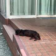 ヒメ日記 2025/07/02 17:03 投稿 足立凛 フォーナイン熊本