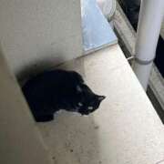 ヒメ日記 2025/07/09 17:03 投稿 足立凛 フォーナイン熊本