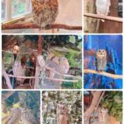 ヒメ日記 2025/07/29 14:02 投稿 足立凛 フォーナイン熊本