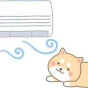 ヒメ日記 2025/08/19 14:02 投稿 足立凛 フォーナイン熊本