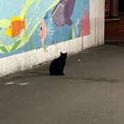 ヒメ日記 2025/10/06 17:02 投稿 足立凛 フォーナイン熊本