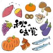 ヒメ日記 2025/10/11 14:02 投稿 足立凛 フォーナイン熊本