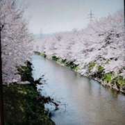 ヒメ日記 2026/04/06 11:54 投稿 あこ マダムバンク 富山本店