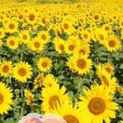 ヒメ日記 2025/08/12 00:16 投稿 いちえ 越谷熟女デリヘル マダムエプロン