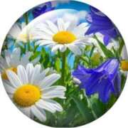 いちえ 有難う(o^^o) 越谷熟女デリヘル マダムエプロン