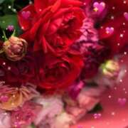 ヒメ日記 2025/12/15 00:16 投稿 いちえ 越谷熟女デリヘル マダムエプロン