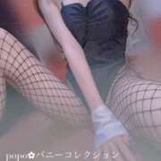 ヒメ日記 2024/12/27 00:56 投稿 ポポ【激エロ×激カワ美女バニー】 バニーコレクション 中洲店