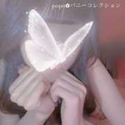 ヒメ日記 2025/01/16 12:45 投稿 ポポ【激エロ×激カワ美女バニー】 バニーコレクション 中洲店