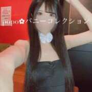 ヒメ日記 2025/01/20 14:49 投稿 ポポ【激エロ×激カワ美女バニー】 バニーコレクション 中洲店