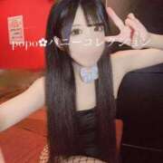 ヒメ日記 2025/01/25 19:06 投稿 ポポ【激エロ×激カワ美女バニー】 バニーコレクション 中洲店