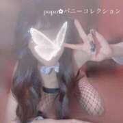 ヒメ日記 2025/03/23 12:45 投稿 ポポ【激エロ×激カワ美女バニー】 バニーコレクション 中洲店
