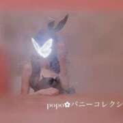 ヒメ日記 2025/05/05 20:09 投稿 ポポ【激エロ×激カワ美女バニー】 バニーコレクション 中洲店