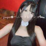 ヒメ日記 2025/05/06 09:25 投稿 ポポ【激エロ×激カワ美女バニー】 バニーコレクション 中洲店