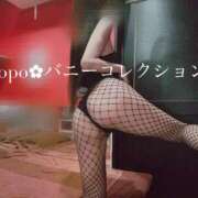 ヒメ日記 2025/05/07 14:15 投稿 ポポ【激エロ×激カワ美女バニー】 バニーコレクション 中洲店