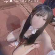 ヒメ日記 2025/08/18 06:45 投稿 ポポ【激エロ×激カワ美女バニー】 バニーコレクション 中洲店
