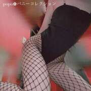 ヒメ日記 2025/08/19 19:30 投稿 ポポ【激エロ×激カワ美女バニー】 バニーコレクション 中洲店