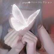 ヒメ日記 2025/10/15 19:30 投稿 ポポ【激エロ×激カワ美女バニー】 バニーコレクション 中洲店