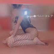 ヒメ日記 2025/11/09 19:35 投稿 ポポ【激エロ×激カワ美女バニー】 バニーコレクション 中洲店