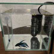 ヒメ日記 2025/12/03 19:39 投稿 ゆりあ 松戸人妻 MAD熟女