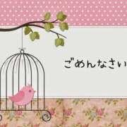 ヒメ日記 2025/12/06 12:25 投稿 めいさ 奥鉄オクテツ東京店（デリヘル市場）