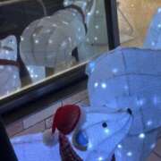 ヒメ日記 2024/12/08 01:15 投稿 みさと 横浜おかあさん