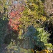 ヒメ日記 2024/12/14 08:47 投稿 みさと 横浜おかあさん