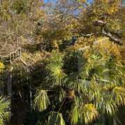 ヒメ日記 2024/12/14 08:54 投稿 みさと 横浜おかあさん