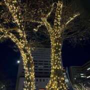 ヒメ日記 2024/12/17 00:55 投稿 みさと 横浜おかあさん