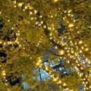 ヒメ日記 2024/12/17 01:03 投稿 みさと 横浜おかあさん